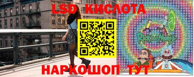 трава Кингисепп