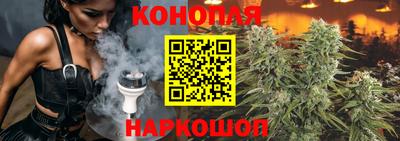 трава Кингисепп